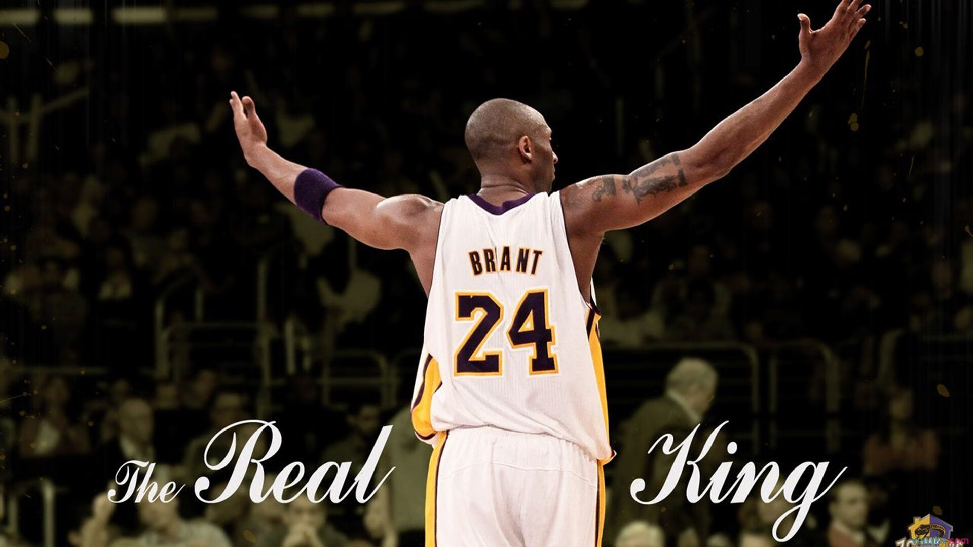 《ApexLegends》全新冰原地图震撼上线,开启极寒战场新纪元